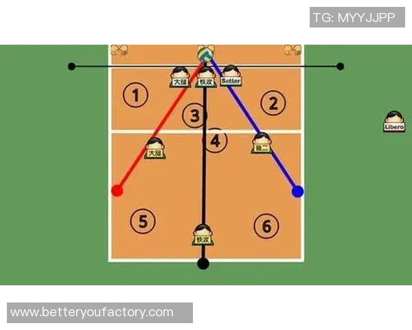 排球新手必看：从基础到战术的全面入门指南与技巧分享