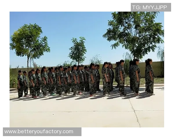 李丽畅谈王者荣耀职业生涯的成长与挑战分享